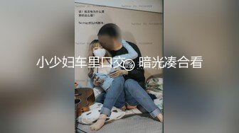 小少妇车里口交，暗光凑合看