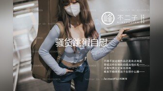 第一夫人S秘密LuxuriousHospitarity2016HD1080P日语中字