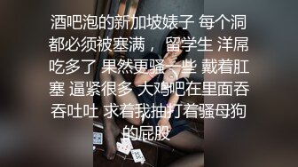 酒吧泡的新加坡婊子 每个洞都必须被塞满， 留学生 洋屌吃多了 果然更骚一些 戴着肛塞 逼紧很多 大鸡吧在里面吞吞吐吐 求着我抽打着骚母狗的屁股 