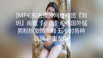 极品女秘书