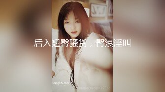 后入翘臀骚货，臀浪淫叫