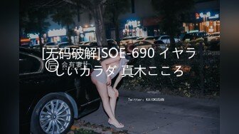 (HD1080P)(車フェラ)(fc3126794)ARIGATOU 新潟ちゃん「今年で引退することになりました」 (3)