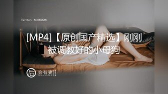 [MP4]精东影业 JDYP-034约啪丰满迷人的美术老师