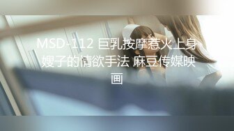 MSD-112 巨乳按摩惹火上身 嫂子的情欲手法 麻豆传媒映画