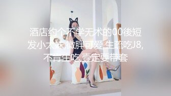 情侣特斯拉自驾功能车震门