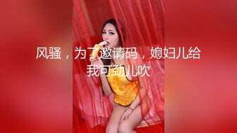 商场女厕全景偷拍黑裙高跟少妇的丰满大肥鲍