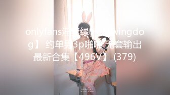 onlyfans淫妻绿帽【swingdog】 约单男3p啪啪 无套输出最新合集【496V】 (379)