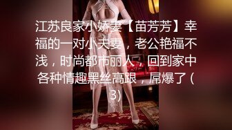 江苏良家小娇妻【苗芳芳】幸福的一对小夫妻，老公艳福不浅，时尚都市丽人，回到家中各种情趣黑丝高跟，屌爆了 (3)