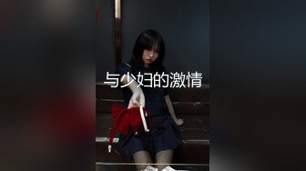 与少妇的激情