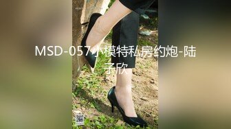 MSD-057小模特私房约炮-陆子欣