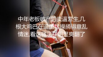 中年老板破产后卖逼营生,几根大鸡巴在逼里猛操捅得意乱情迷,看这骚逼样明显爽翻了