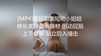 [MP4]极品甜美短裙小姐姐 修长美腿苗条身材 扭动屁股上下套弄 站立后入撞击