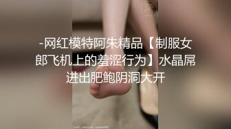 -网红模特阿朱精品【制服女郎飞机上的羞涩行为】水晶屌进出肥鲍阴洞大开