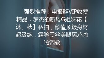 另一只巨乳骚母狗，嘴上说着不要下面却流了很多水