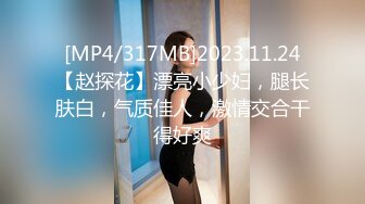 商场女厕一路跟踪偷拍美女老板娘的多毛大肥鲍