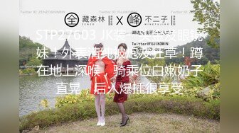 2024年新流出国产博主【丝袜猫Stocking】电报群完整福利，此人非常喜欢让女主穿着丝袜操，丝袜党不可错过 (5)