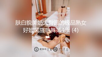 肤白貌美奶大臀圆的极品熟女好姐风骚艳舞第4季 (4)