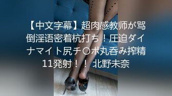 麻豆传媒 MD-0299 麻豆女神与幸运粉丝的木屋约会