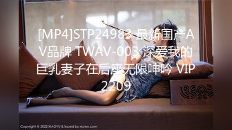 [MP4]车模下海网红美女！4小时激情搞了几炮！被炮友尽情玩弄，后入撞击深插，主动骑乘位猛砸