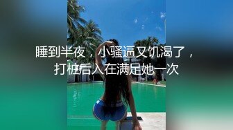 MCY-0187 吴文琪 空姐的VIP私活 淫浪骚人满天下 麻豆传媒映画