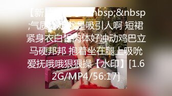 TSF我是分身3 相似的转校生篇