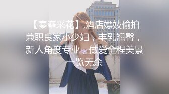 【秦峯采花】,酒店嫖妓偷拍兼职良家小少妇，丰乳翘臀，新人角度专业，做爱全程美景一览无余