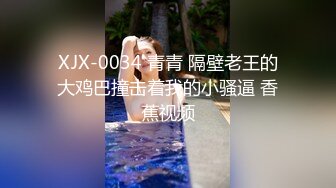 Al—IU 摩天轮上享受吃大屌