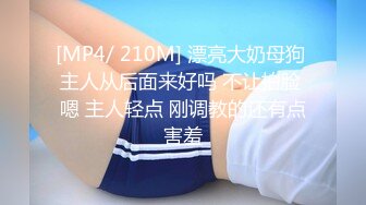 蜜桃传媒PMC060微信约炮大奶肉色丝袜女教师-斑斑