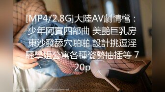 [MP4/2.8G]大陸AV劇情檔：少年阿賓四部曲 美艷巨乳房東沙發舔穴啪啪 設計挑逗淫騷學姐公寓各種姿勢抽插等 720p