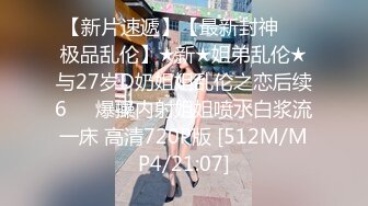 重磅自拍约女同事逛街商场卫生间上演低频激情戏