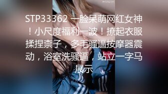 STP33362 一脸呆萌网红女神！小尺度福利一波！撩起衣服揉捏柰子，多毛骚逼按摩器震动，浴室洗骚逼，站立一字马展示