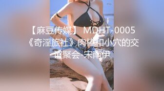 【麻豆传媒】 MDHT-0005《奇淫旅社》肉棒和小穴的交谊聚会-宋南伊