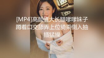 [MP4]高颜值大长腿嗲嗲妹子蹲着口交舔弄上位骑乘侧入抽插猛操