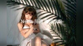 Neko-薇薇 靡烟旗袍