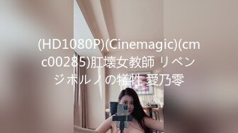 (HD1080P)(Cinemagic)(cmc00285)肛壊女教師 リベンジポルノの犠牲 愛乃零