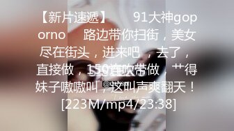 91经典系列资源整理合集P2【105V】 (28)