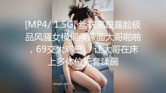 [MP4/ 1.5G] 丝袜高跟露脸极品风骚女模伺候蒙面大哥啪啪，69交大鸡巴， 让大哥在床上多体位无套蹂躏