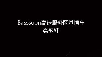 Basssoon高速服务区基情车震被奸