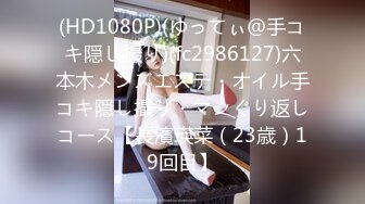 pgd-730誘惑女教師～妖艶タイトスカート編～波多野結衣