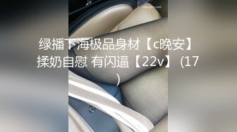 绿播下海极品身材【c晚安】揉奶自慰 有闪逼【22v】 (17)