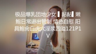 [MP4]麻豆传媒-女室友的性癖好 SM性爱游戏 极刑审判