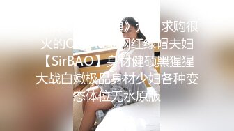 [MP4/ 452M] 酒店偷拍有点腼腆的年轻小哥和 如狼似虎的情趣内衣嫂子开房偷情各种姿势把嫂子干出白浆