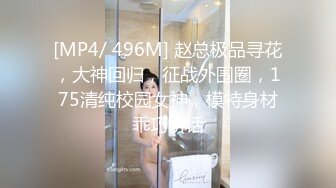 [MP4/ 496M] 赵总极品寻花，大神回归，征战外围圈，175清纯校园女神，模特身材乖巧听话