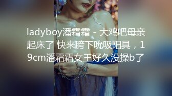 JVID 甜M女神 婕咪 飞J杯推销员 桥本有菜名器同款