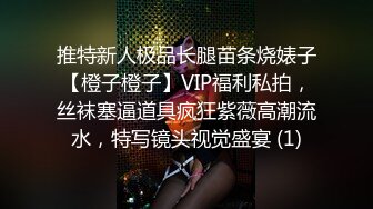 推特新人极品长腿苗条烧婊子【橙子橙子】VIP福利私拍，丝袜塞逼道具疯狂紫薇高潮流水，特写镜头视觉盛宴 (1)