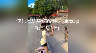 快乐风男给猫配种之基情3p第三集(上) 