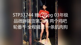 STP33744 糖心Vlog 03年极品微胖骚货第二弹 两个鸡吧轮番干 全程骚话 一条肌肉狗