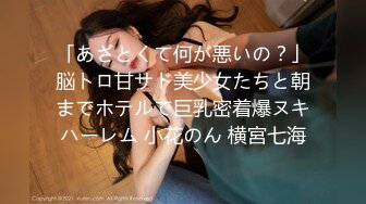 「あざとくて何が悪いの？」脳トロ甘サド美少女たちと朝までホテルで巨乳密着爆ヌキハーレム 小花のん 横宮七海